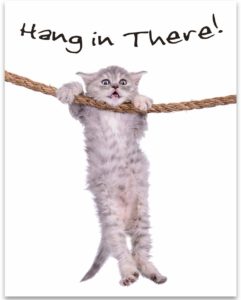 hang in there