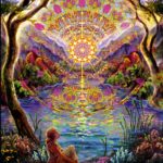 Living in the fifth dimension