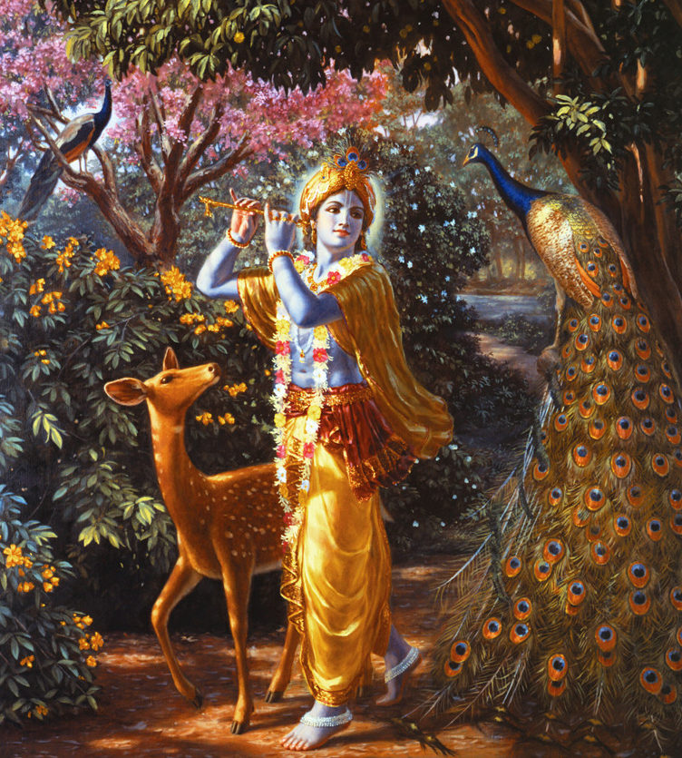 Conversations with Krishna